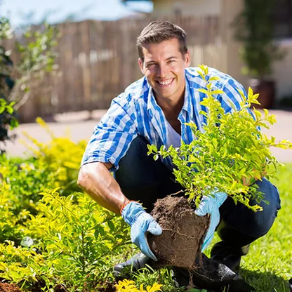 🌱 Soil Improvement Loosening Agent