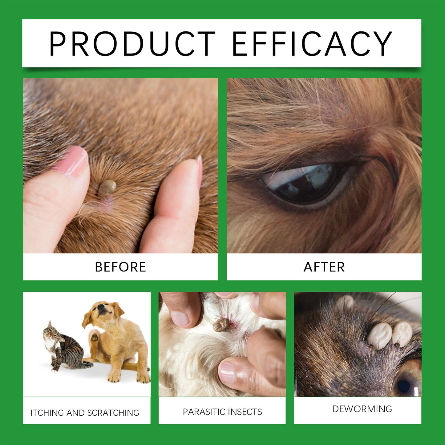 🍃 Natural flea and tick spray for dogs and cats🐾🐶🐱✨