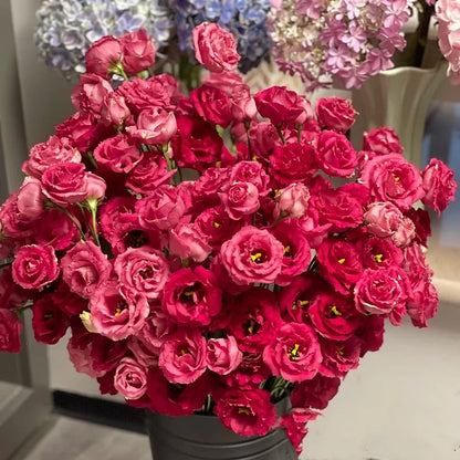 🌹Eustoma Thornless Rose Seeds – Easy-Grow Garden Roses for Beautiful Blooms