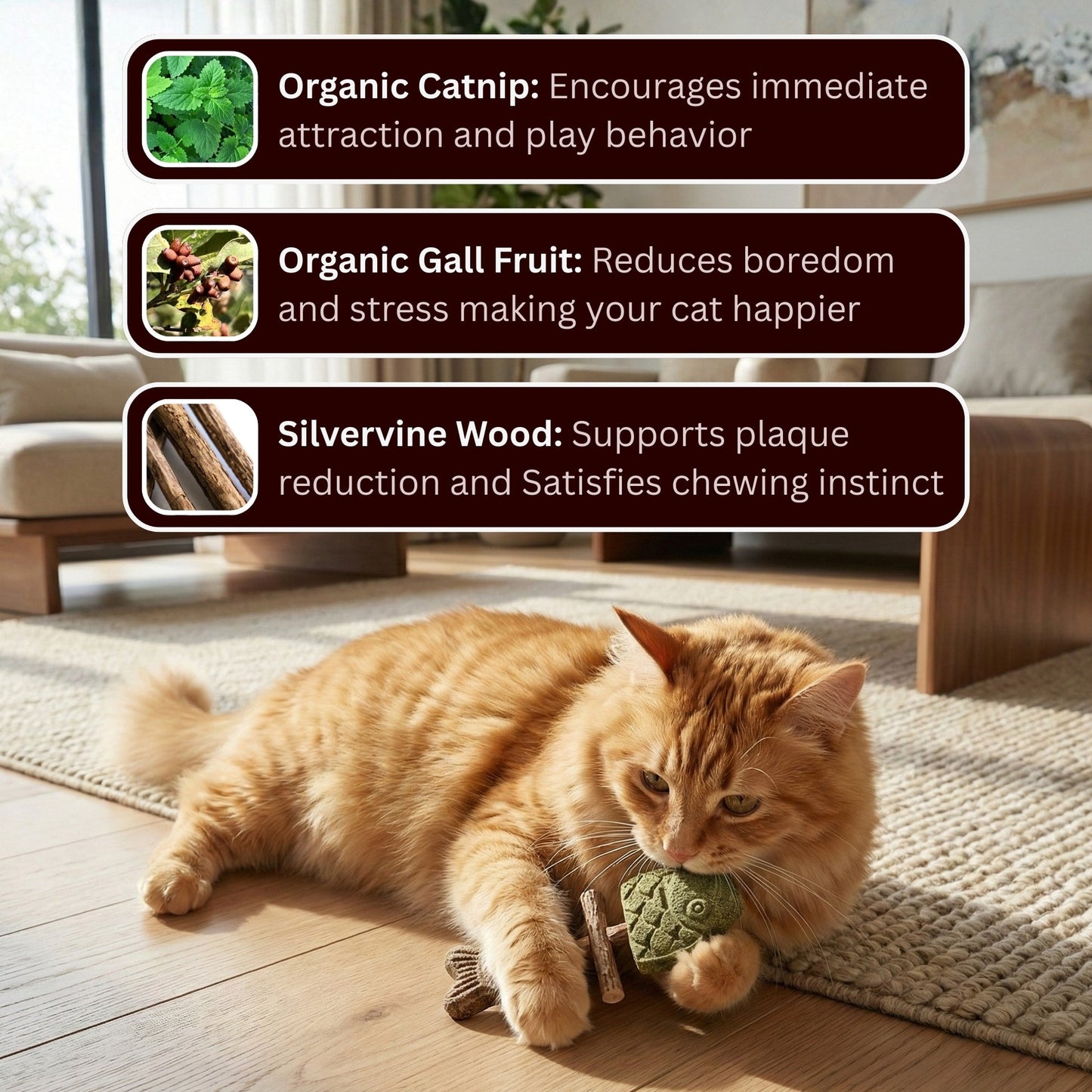 🐱Natural Catnip & Silvervine Chews – Healthy Chew Treats for Cats