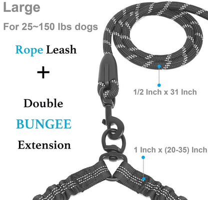 Heavy-Duty Shock-Absorbing Dog Leash – Bungee Control Leash for Walking, Running & Training