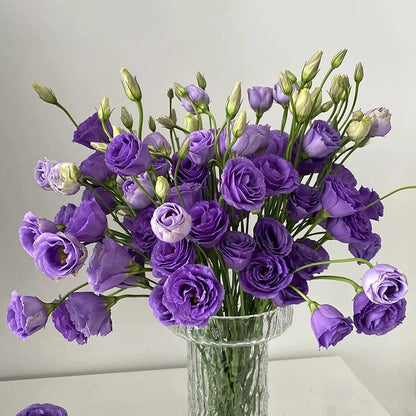 🌹Eustoma Thornless Rose Seeds – Easy-Grow Garden Roses for Beautiful Blooms
