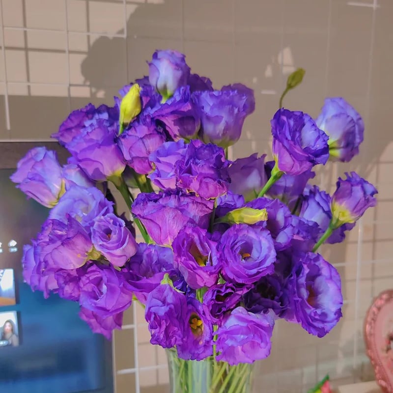 🌹Eustoma Thornless Rose Seeds – Easy-Grow Garden Roses for Beautiful Blooms