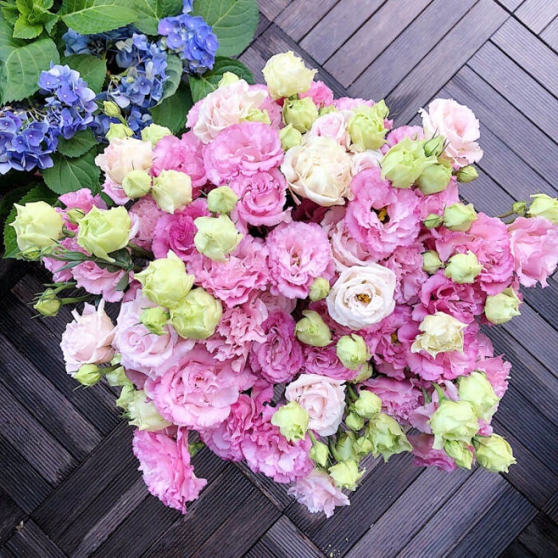 🌹Eustoma Thornless Rose Seeds – Easy-Grow Garden Roses for Beautiful Blooms