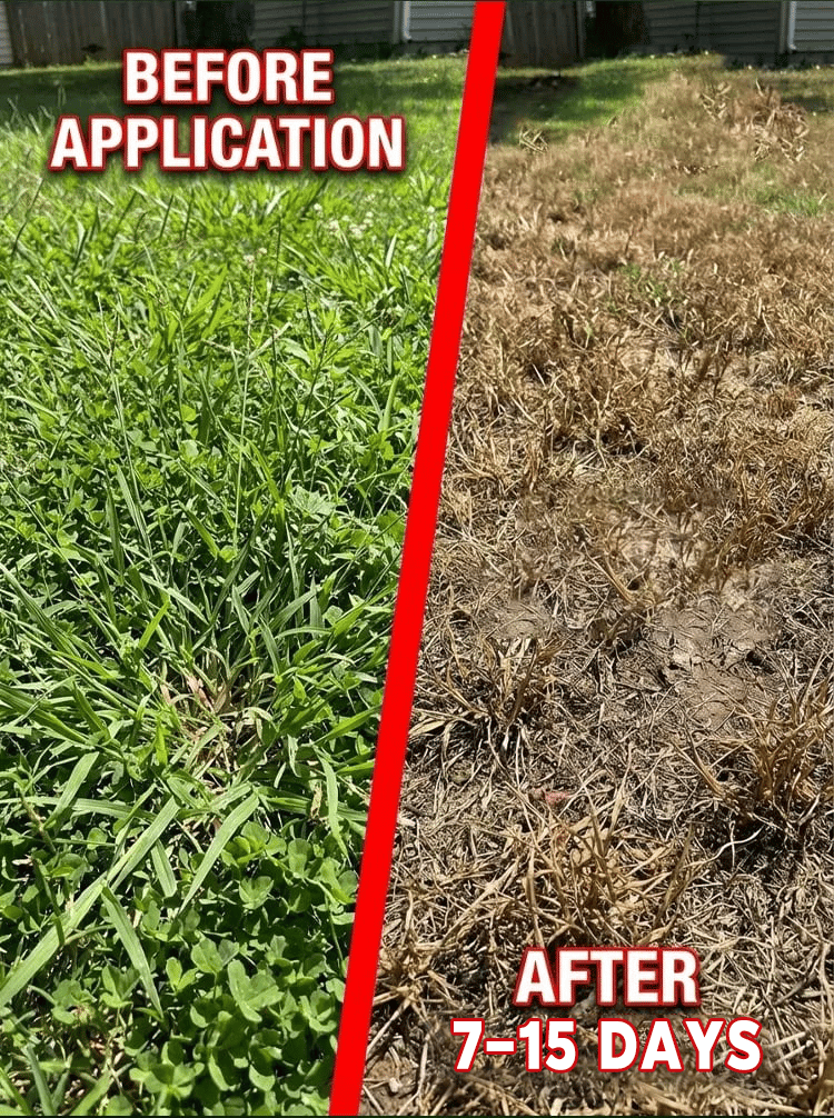 Remove weeds at the source