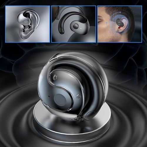 Premium sound quality translation earphones