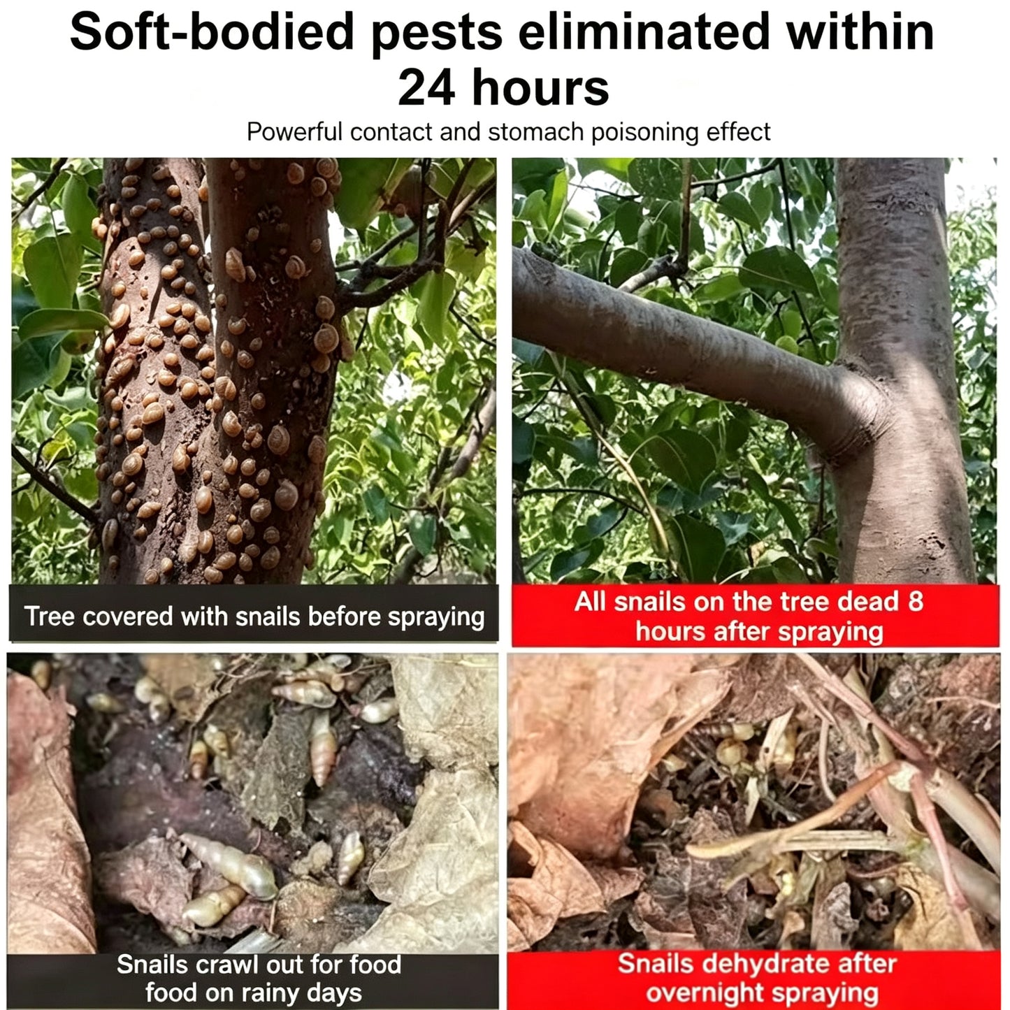 🐌Enemy of Soft-bodied Pests-General Snail Cleaner for Vegetables, Flowers & Fruit Trees 🌿