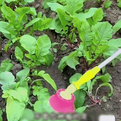 🐌Enemy of Soft-bodied Pests-General Snail Cleaner for Vegetables, Flowers & Fruit Trees 🌿