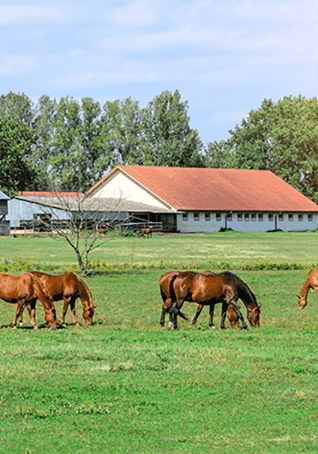 Scene image