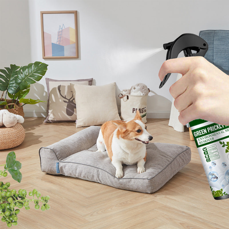 ✨Power Insect Spray