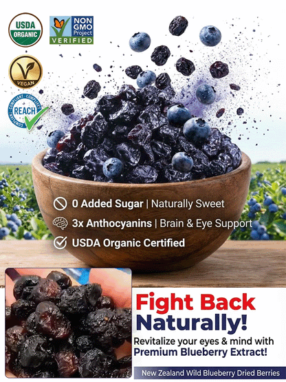 🫐 Premium Unsweetened Dried Blueberries — No Added Sugar, Naturally Rich in Flavonoids