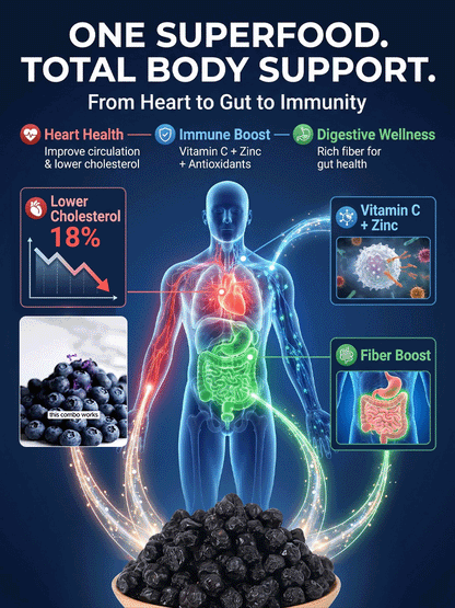 🫐 Premium Unsweetened Dried Blueberries — No Added Sugar, Naturally Rich in Flavonoids