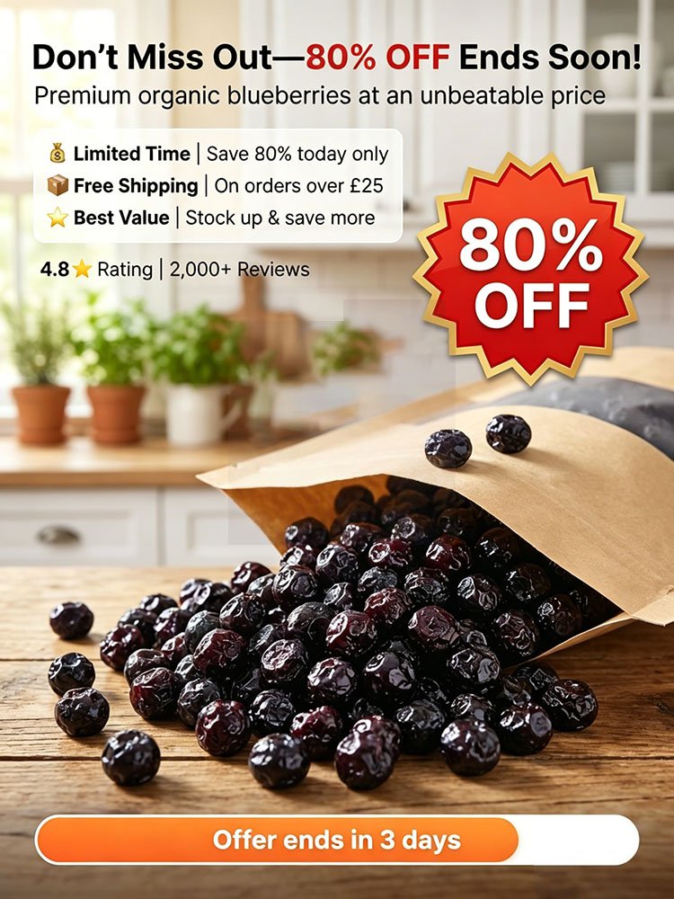 🫐 Premium Unsweetened Dried Blueberries — No Added Sugar, Naturally Rich in Flavonoids