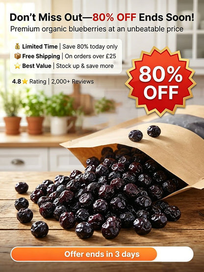 🫐 Premium Unsweetened Dried Blueberries — No Added Sugar, Naturally Rich in Flavonoids