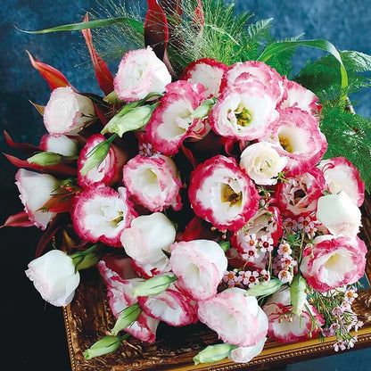 🌹Eustoma Thornless Rose Seeds – Easy-Grow Garden Roses for Beautiful Blooms