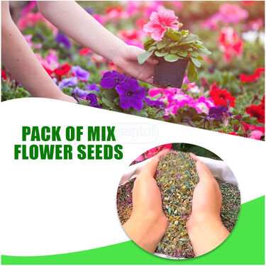 Pack Of Mix Flower Seeds