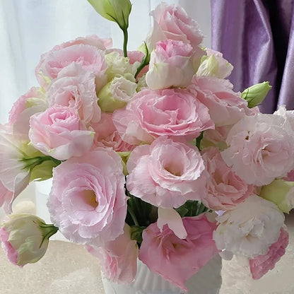 🌹Eustoma Thornless Rose Seeds – Easy-Grow Garden Roses for Beautiful Blooms