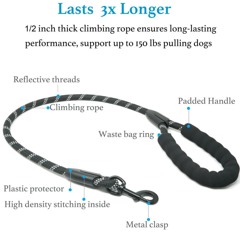 Heavy-Duty Shock-Absorbing Dog Leash – Bungee Control Leash for Walking, Running & Training