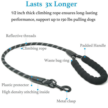 Heavy-Duty Shock-Absorbing Dog Leash – Bungee Control Leash for Walking, Running & Training