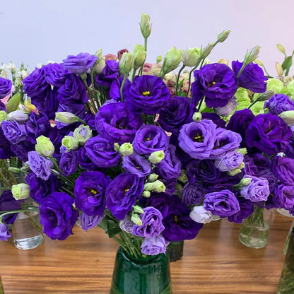🌹Eustoma Thornless Rose Seeds – Easy-Grow Garden Roses for Beautiful Blooms