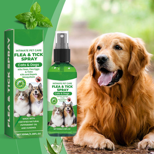 🍃 Natural flea and tick spray for dogs and cats🐾🐶🐱✨