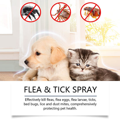 🍃 Natural flea and tick spray for dogs and cats🐾🐶🐱✨