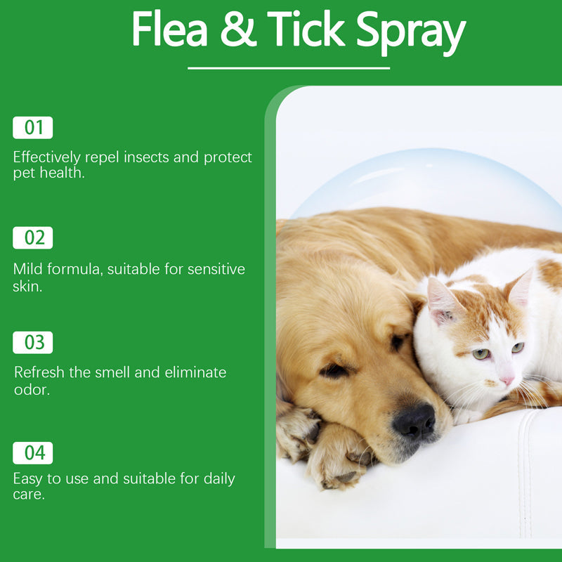 🍃 Natural flea and tick spray for dogs and cats🐾🐶🐱✨
