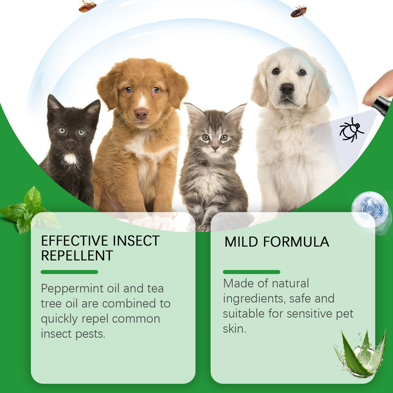 🍃 Natural flea and tick spray for dogs and cats🐾🐶🐱✨
