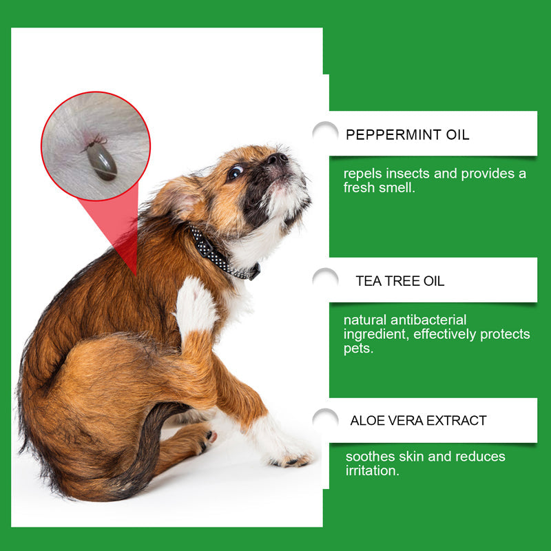 🍃 Natural flea and tick spray for dogs and cats🐾🐶🐱✨