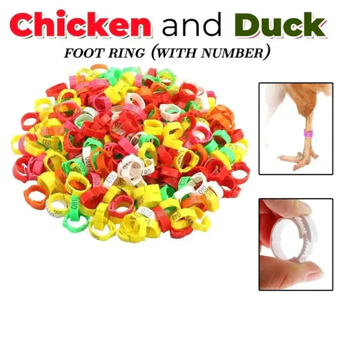 🐔 Adjustable Snap-On Poultry Leg Bands – Reusable Chicken & Bird Identification Rings