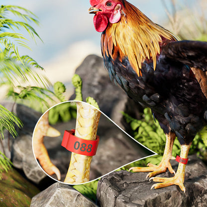 🐔 Adjustable Snap-On Poultry Leg Bands – Reusable Chicken & Bird Identification Rings