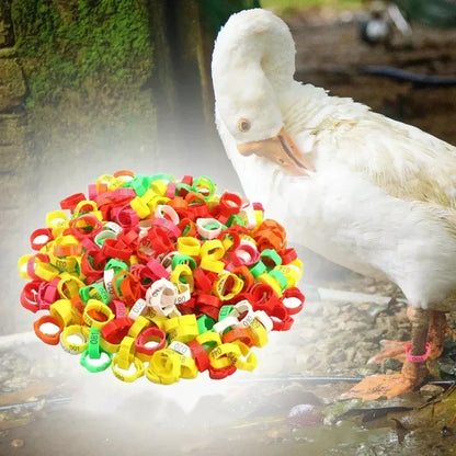 🐔 Adjustable Snap-On Poultry Leg Bands – Reusable Chicken & Bird Identification Rings
